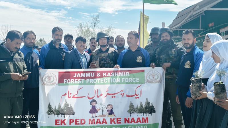 Plantation Drive 2025